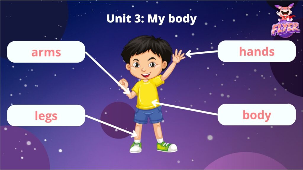 Unit 3: My body
