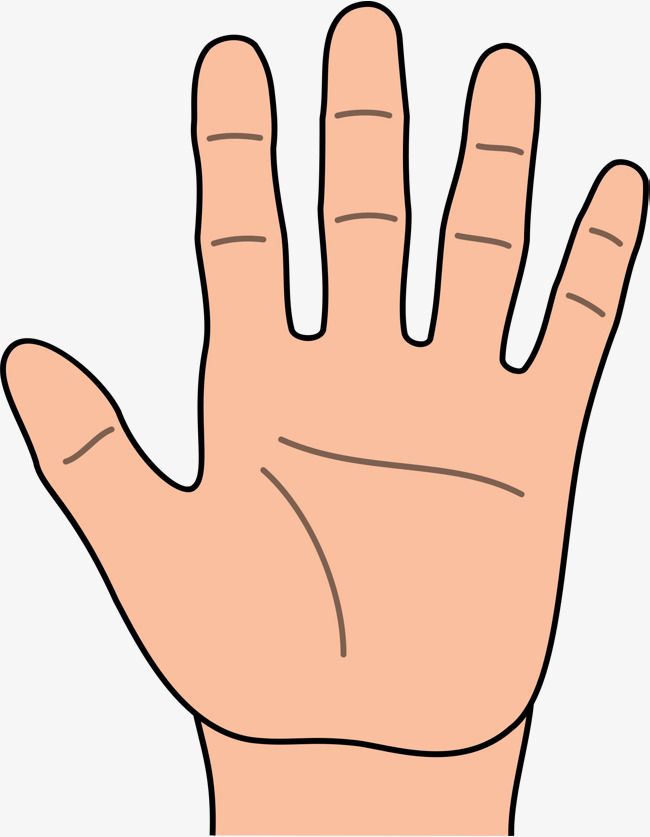 1. Hand
