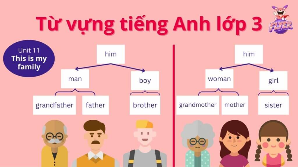 Từ vựng tiếng Anh lớp 3 - Unit 11: This is my family