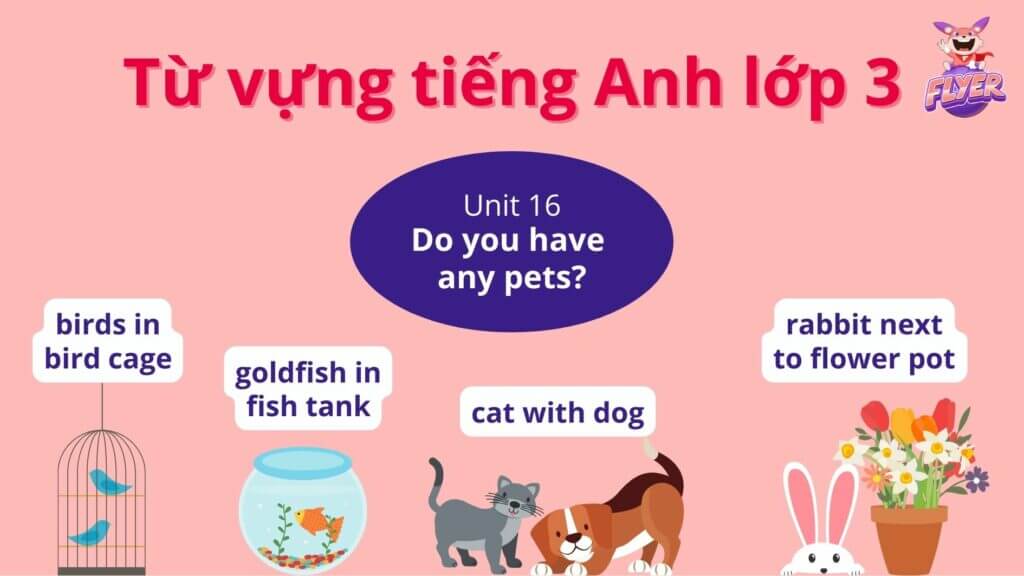 Từ vựng tiếng Anh lớp 3 - Unit 16: Do you have any pets?