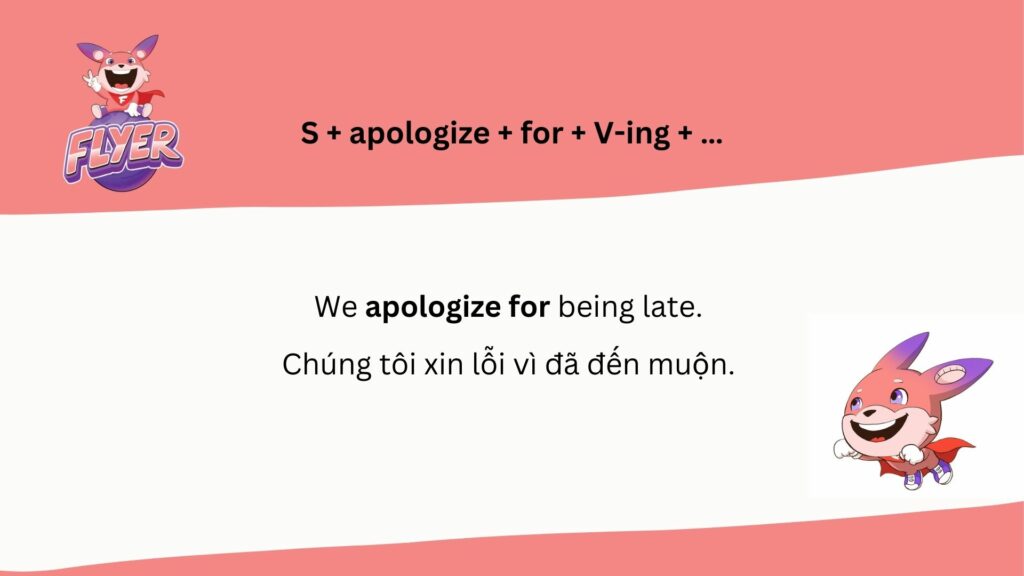 apologize-cong-gi